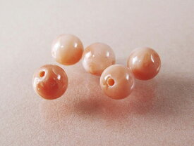 楽天市場 赤珊瑚 値段の通販