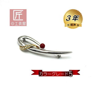 ԎX u[` îMtgΉj h~VRt 6.8mmʂ̌ԎXȋɎt J[O[h5 F {Y