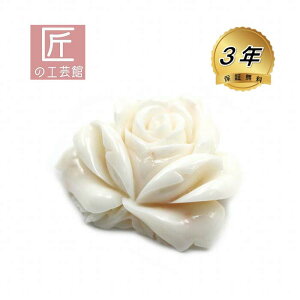 ~bhX o u[` îMtgΉ) h~VRt ̓Iɂ킢KN̉Ԃ{̏nEl蒤肵܂ F AeB[N g