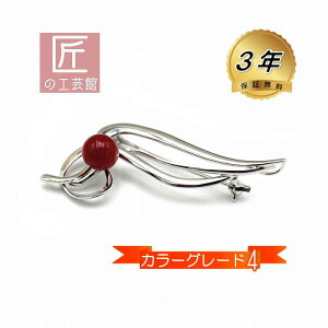 ԎX u[` 8.8mmʂ̍mYԎXVo[ɎtîMtgΉj h~VRt J[O[h4 F {YTS