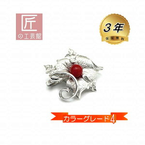 ԎX u[` 7.5mmʂ̍mYԎXVo[ɎtîMtgΉj h~VRt J[O[h4 F