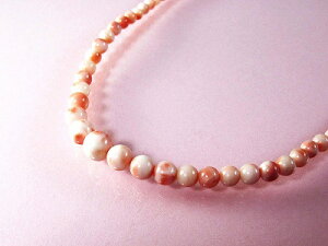 [CX lbNX îMtgΉj 9.7mm4mmʂ̃Of[V {XŒ43Z` sNŉ؂₩ɍʂ܂ F  TS