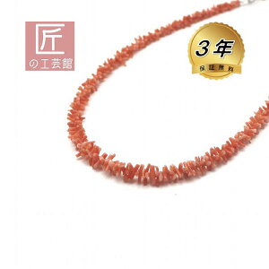 [CX ^lbNX ( ̂MtgΉ ) 40Z` ؂₩ɍʂ܂ F  TS