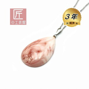 [CX y_g ^îMtgΉjVo[ bL`F[t lbNX F