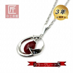 ԎX y_g mY `AJTS 18 J[O[h5 (̂MtgΉ) F {Y