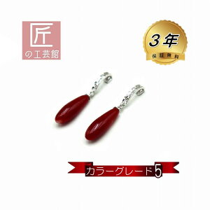 ԎX sAX u 11~ ^ J[O[h5 mYԎXîMtgΉjK14WG hsAX