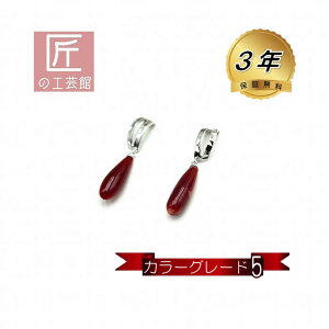 ԎX sAX u 13~ ^ J[O[h5 mYԎXîMtgΉjK14WG hsAX