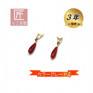 ԎX sAX u ^ mYԎX Ղr[t18 X^bh (VRtLb`) hsAX F {Y