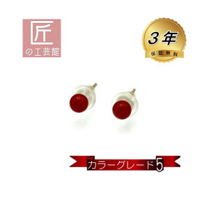 アクセサリー 血赤珊瑚 ピアス」の人気商品一覧 | 安い商品を通販 