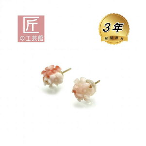 sNX  sAX 7~ ԂnhChîMtgΉj18 X^bh (VRtLb`) F {Y