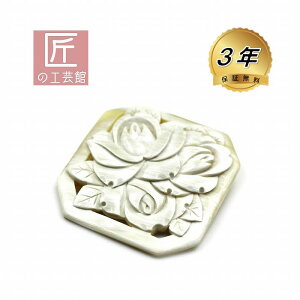  KN u[` îMtgΉj VRfނŔɗD XNGA^̌y蒤̂킢3ւ̂΂̉ obt@[z[ h~VRt ȏ n