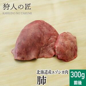 111IXSi20%OFFN[|zzykCYzG]VJ//VJ/WrG@x 300gO