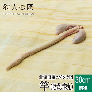 111IXSi20%OFFN[|zzykCYzG]VJ//VJ/WrG@ƁiΊہEAsj 30cmO