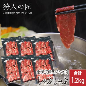 111IXSi20%OFFN[|zzykCYzG]VJ//VJ/WrG/@Ԃԁi200g×6j