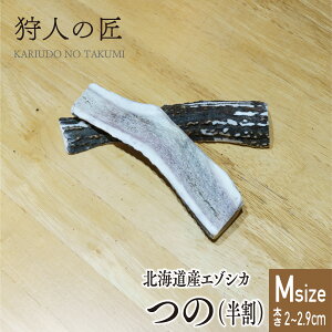 ykCYzybg/G]VJ//VJ@cmij^p MTCY 15cmO 2{yY/ybgt[h/hbOt[hz