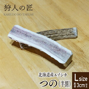 ykCYzybg/G]VJ//VJ@cmij^p LTCY 15cmO 2{yY/ybgt[h/hbOt[hz