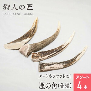 111IXSi20%OFFN[|zzykCYzG]VJ̃cmE[iA\[g4{j