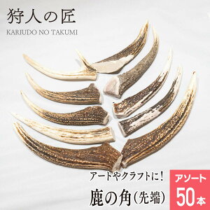 111IXSi20%OFFN[|zzykCYz@G]VJ̃cmE[iA\[g50{j