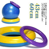 [ポイント10倍!]リング 直径43cm2個 体幹 バランスボール 体幹トレーニング 部品 バランスディスク 耐荷…