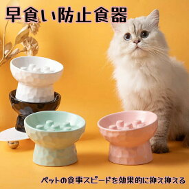 【ポイント10倍】早食い防止 食器 犬 猫 はやぐい防止皿 小型犬 えさ皿 陶器 脚付フードボウル 高さ 15度の傾斜 吐き戻し軽減 肥満予防 首の負担を軽減