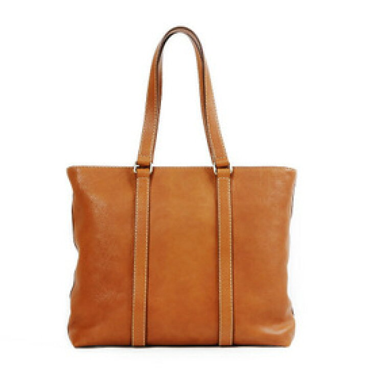 dailytote_br272.jpg?fitin=720:720