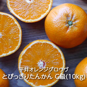 �y�\��z�����哇�Y �Ƃт����肽�񂩂� B���i 5kg/10kg�� ����I�����W�O���E���F�^���J�� ���k �݂��� �I�����W �ʕ� �t���[�c �f�U�[�g ���ƒ�p ������p ���㊮�n ���n�͔| �����Y ������