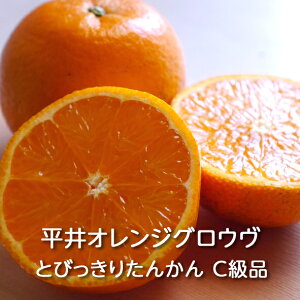 �y�\��z�����哇�Y �Ƃт����肽�񂩂� C���i 10kg�� ����I�����W�O���E���F�^���J�� ���k �݂��� �I�����W �ʕ� �t���[�c �f�U�[�g ���ƒ�p ������p �󂠂� ��A�� �킯���� �����Y ����