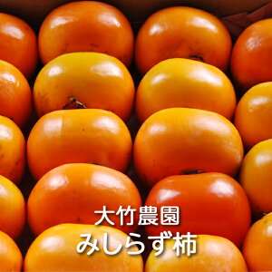 【予約】会津みしらず柿 L/2L/3L/4Lサイズ 5kg/10kg箱 大竹農園:身不知柿 柿 かき カキ 果物 くだもの フルーツ デザート ギフト 贈り物 プレゼント 渋柿 渋抜き 皇室献上柿 特産品 減農薬 国産
