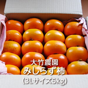 Â݂炸` L/2L/3L/4LTCY 5kg/10kg |_Fgsm` `  JL ʕ  t[c fU[g Mtg 蕨 v[g a` a c` Yi _ Y Y 