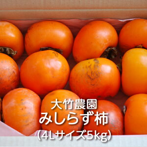 Â݂炸` L/2L/3L/4LTCY 5kg/10kg |_Fgsm` `  JL ʕ  t[c fU[g Mtg 蕨 v[g a` a c` Yi _ Y Y 