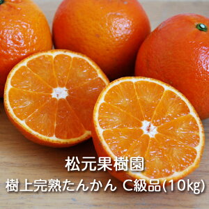 �y�\��z�����哇�Y ���㊮�n���񂩂� C���i 5kg/10kg�� �����ʎ����F�^���J�� ���k �݂��� �I�����W �ʕ� �t���[�c �f�U�[�g ���ƒ�p ������p �󂠂� ��A�� �킯���� �����Y ���������Y ��