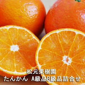 �y�\��z�����哇�Y ���㊮�n���񂩂� A���iB���i�l���� 3kg/5kg/10kg�� �����ʎ����F�^���J�� ���k �݂��� �I�����W �ʕ� �t���[�c �f�U�[�g �����p �M�t�g ���蕨 �v���[���g �����Y ��������