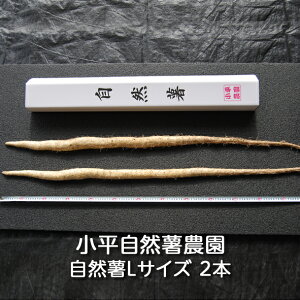 y\zR؂̉ R S/M/L R_F˂񂶂 R ܂ }C X[p[t[h RȂ p Mtg 蕨 v[g Ƃ  畨 g a T_ L