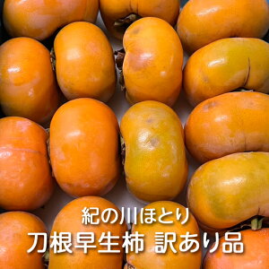 y\za̎RY 󂠂蓁` 3kg I̐قƂF`  JL Ƃ˂킹 햳 Ȃ t[c ʕ  fU[g 킯 A ƒp p r^~C -Je 