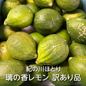 a̎RY 󂠂藞̍O[ 3kg I̐قƂF  EG ̍ ̂ H hܕsgp 킯 A ƒp p r^~C NG_ t_ |tFm[