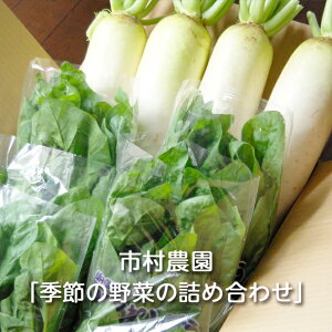  G߂̖؂̋lߍ킹 5kg s_F卪 ق񂻂 lM 卪  _CR zE\E ˂ _ w엿 ߐ{uh Y 