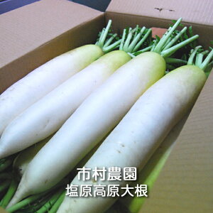 卪 10kg(8`12{) s_F卪  _CR T_ Е 卪낵 Ђ X` ݂` ϕ 痿 ł Ԃ卪 u卪 ӂӂ卪 _ w엿 