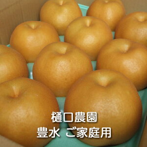 y\z㊮nL ƒp 3kg/5kg/10kg _F Ȃ iV a aȂ { ԗ L ق  ʕ  t[c fU[g Mtg 蕨 v[g ϔ 