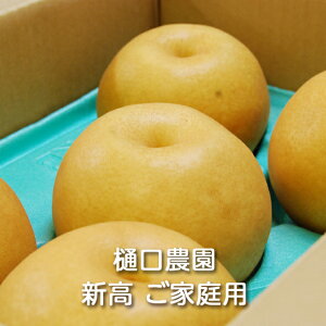 y\z㊮nV ƒp 3kg/5kg/10kg _F Ȃ iV a aȂ { ԗ V ɂ  ʕ  t[c fU[g Mtg 蕨 v[g ϔ 