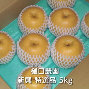 ㊮nV Ii 3kg/5kg/10kg _F Ȃ iV a aȂ { ԗ V 񂱂  ʕ  t[c fU[g p Mtg 蕨 v[g  _