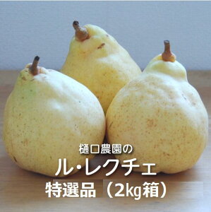 ̗m EN`F Ii 1kg/2kg/3kg/4kg _Fm mȂ miV N`F  ʕ  t[c fU[g p Mtg 蕨 v[g Ε Ε SR