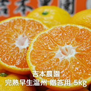 QY nB p 3kg/5kg g{_ Yn _ƒ (ꕔn揜)