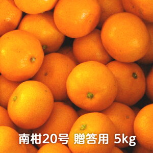 QY 승20 p 3kg/5kg g{_FQ݂ ݂ ~J  IW  ʕ  t[c fU[g p Mtg 蕨 v[g Y Yn _ƒ 