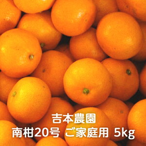 yYnzQY 승20 ƒp 3kg/5kg g{_ 
