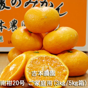 yYnzQY 승20 ƒp 3kg/5kg g{_ 