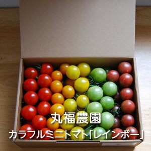 Jt~jg}g C{[ 1kg ە_Fg}g Ƃ܂ ~jg}g v`g}g Mtg p 蕨 v[g ϔ T_ }l pX^ s`X Jv[[ sNX 