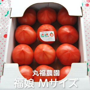 nʃg}g  MTCY 2kg/4kg ە_Fg}g Ƃ܂ T_ }l pX^ Jv[[ X[v sU g}g\[X ~[g\[X s[ y[Xg Y Ȗ،Y Yn _ƒ