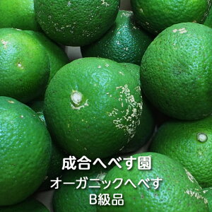 {茧Y JASI[KjbNւׂ Bi 2kg/5kg/10kg ւׂFւׂ ւׂ wxX q| ƒp ʎ ʏ` \ || hbVO Ă g Ē T[ Y_ nC{