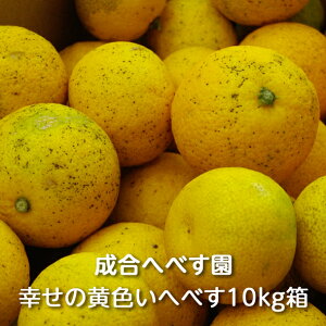 y\z{茧Y JASI[KjbN K̉Fւׂ 5kg/10kg ւׂFւׂ ւׂ wxX q| 󂠂 킯 A ƒp p n ʏ` \ Ē T[ 