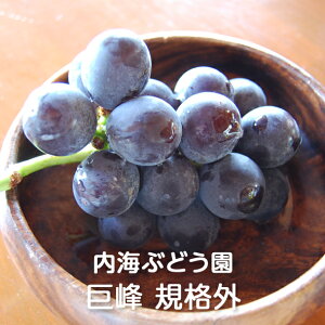 󂠂  KiOi 1kg/2kg/3kg/4kg CԂǂFԂǂ  uhE O[v n Â   S 햳 Ȃ In͔| ƒp p i lC  Y Ȗ